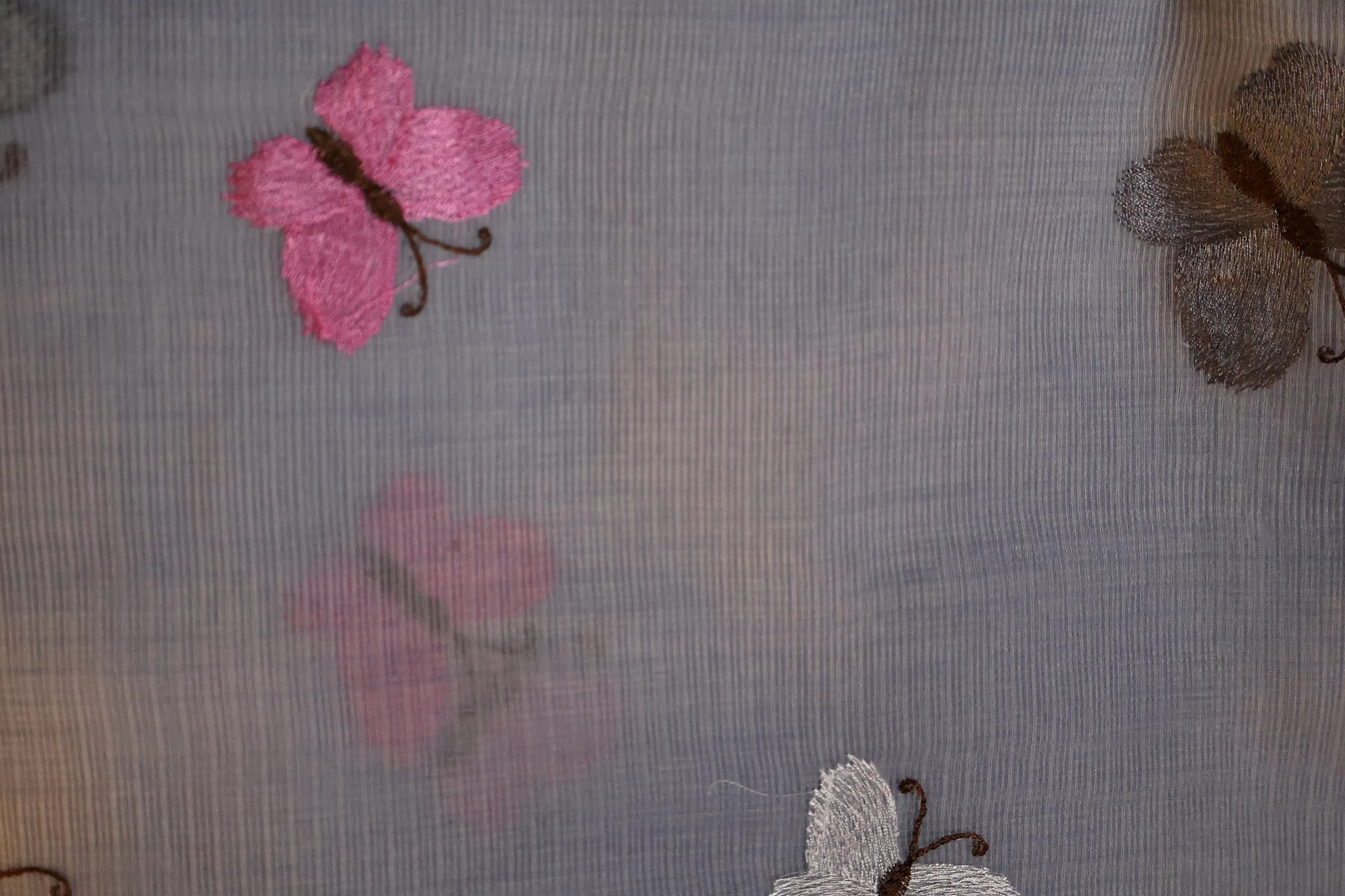 Butterfly Bloom - Kota